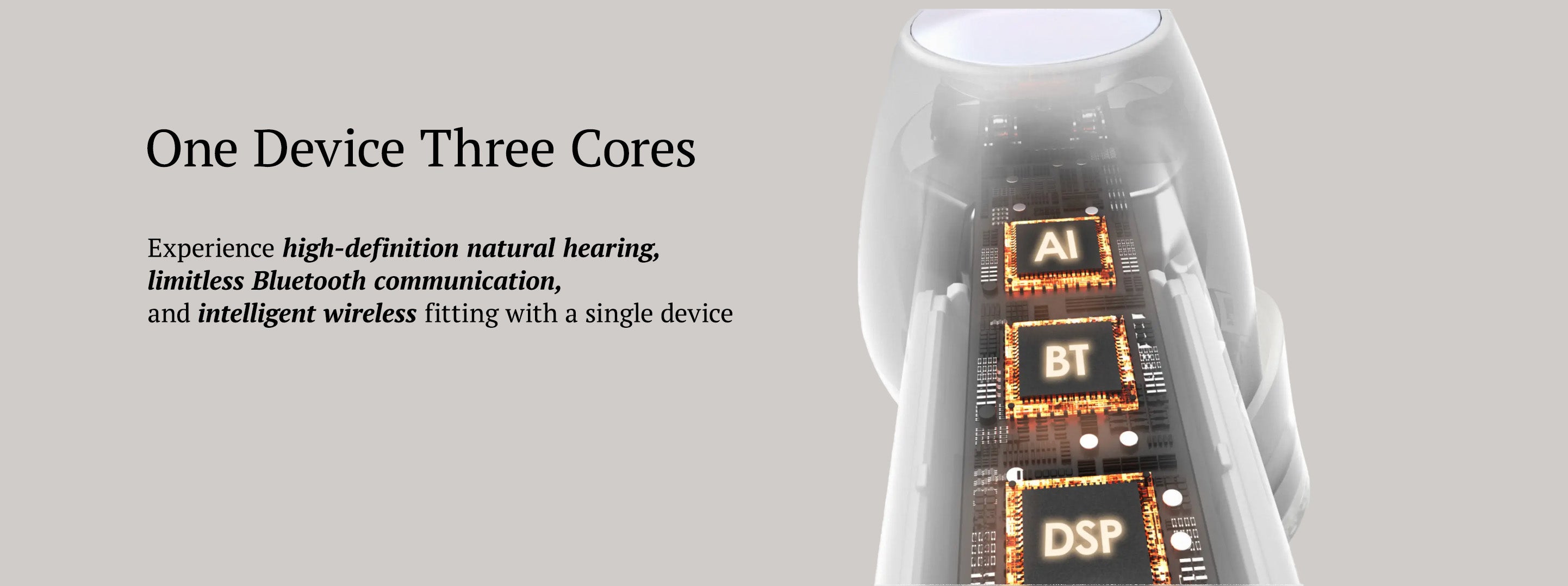 An image on the JIUYEE Free hearing aids details page showcasing three types of chips inside the hearing aid.